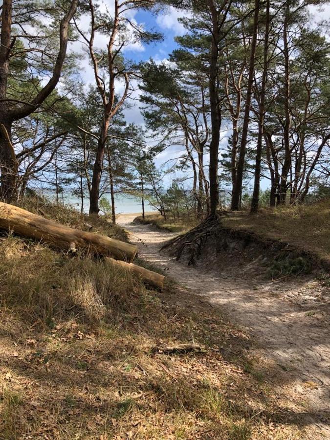 Apartment Haus Granitz 3.5 - Strandjuwel